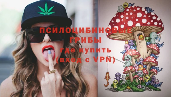 стафф Вязники