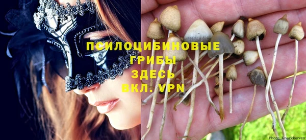 МДМА Вяземский