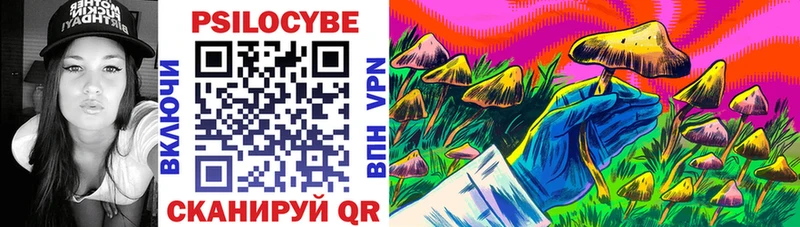 kraken зеркало  Сочи  Псилоцибиновые грибы Cubensis 