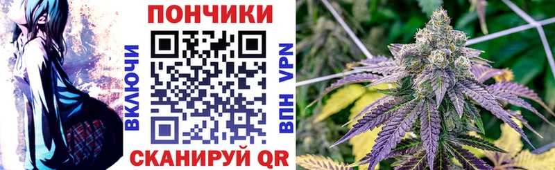 Бошки Шишки планчик  Сочи 
